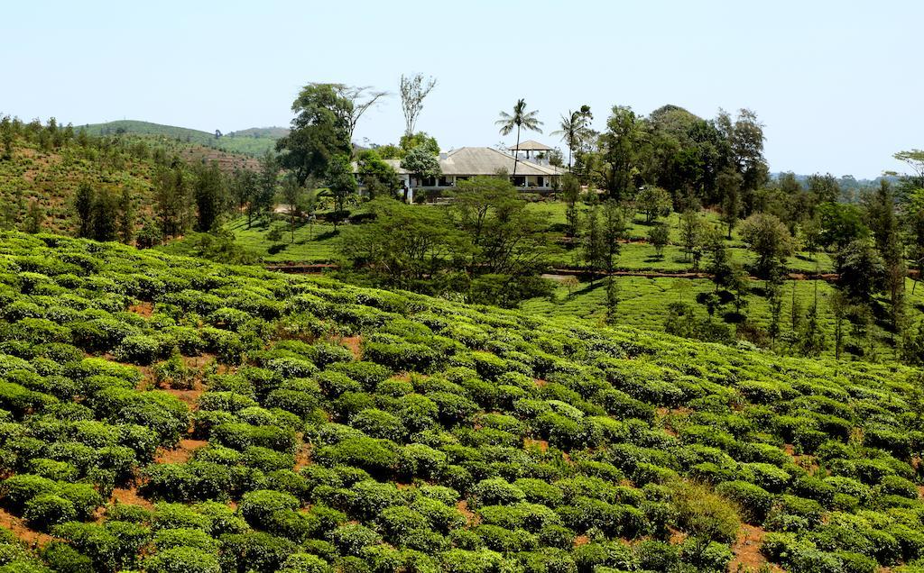 מלון מאננטהוואדי Parisons Plantation Experiences By Abad מראה חיצוני תמונה